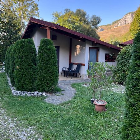 Studiouri Valisoara Exterior photo