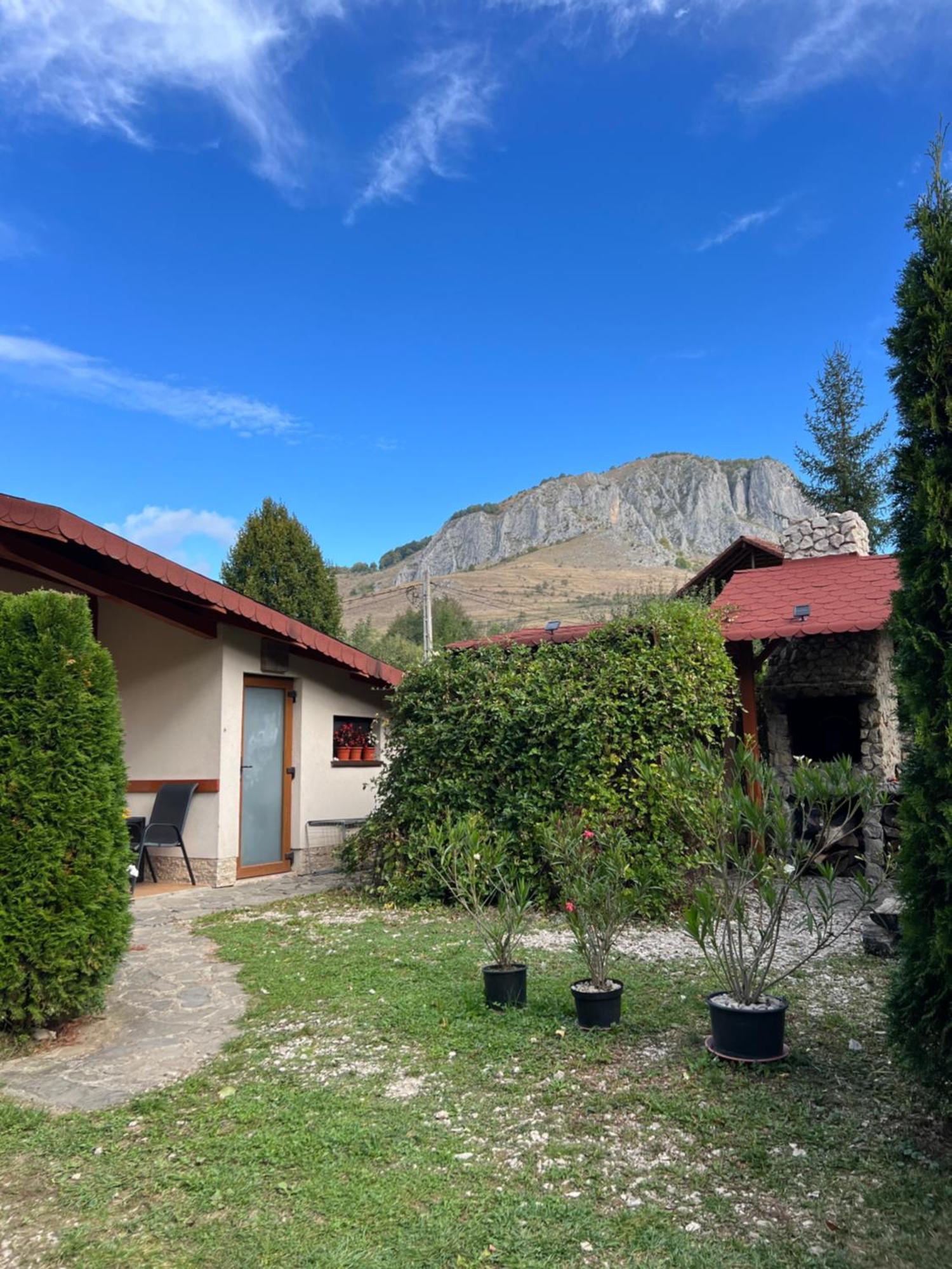 Studiouri Valisoara Exterior photo