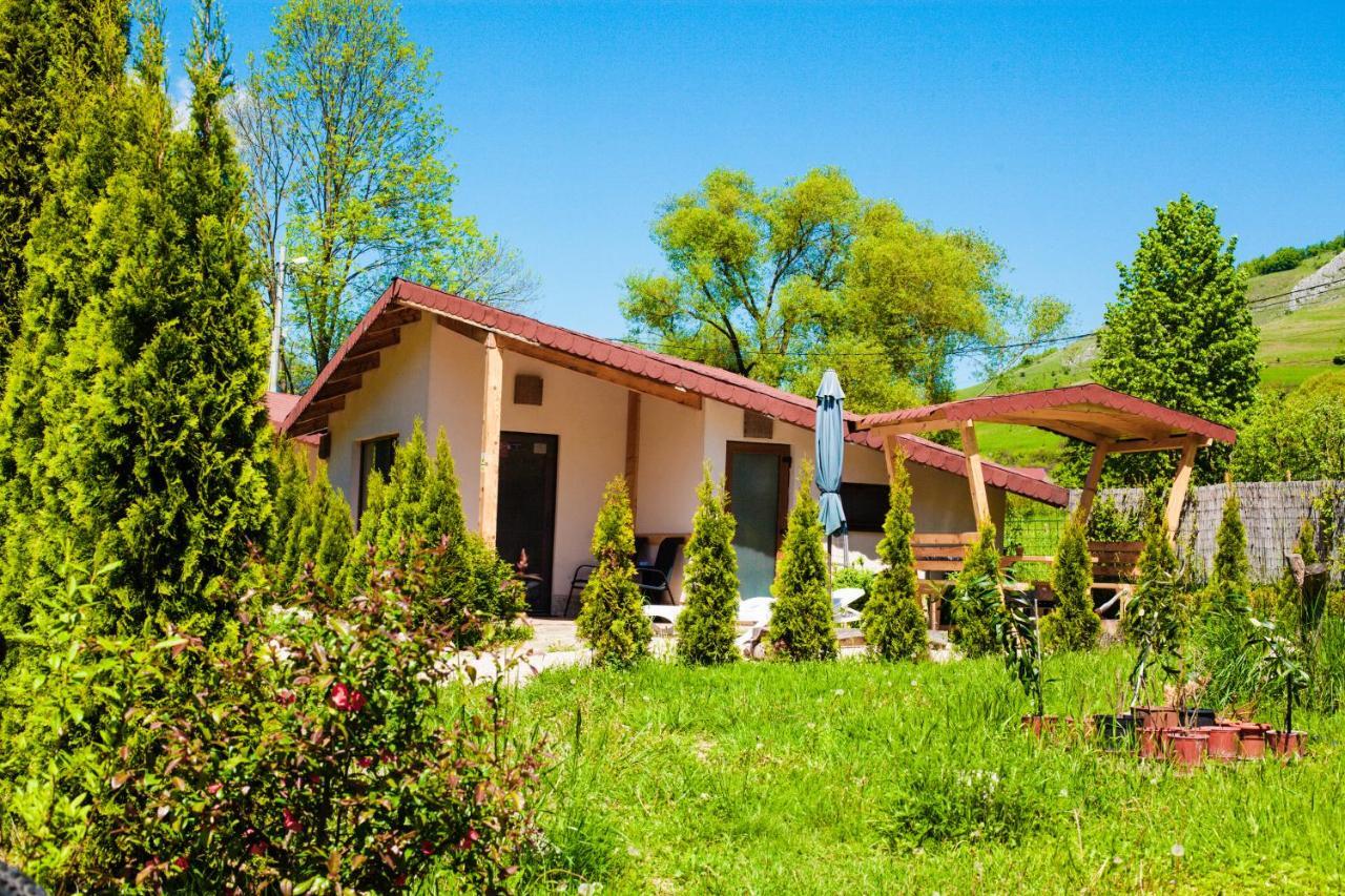 Studiouri Valisoara Exterior photo